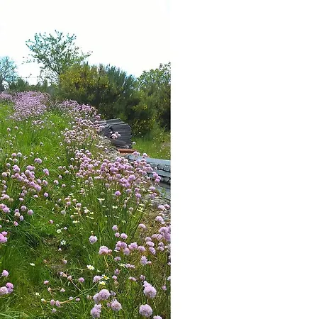 Isatour Casa Na Serra 別荘 Adsamo