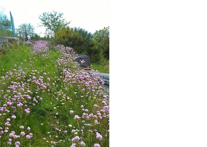 Isatour Casa Na Serra Semesterbostad Adsamo